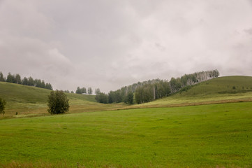 Calm blue sky in the early autumn sky over green fields, trees, forests and huge mountains. A lot of meadow herbs around. Day. Travel through nature landscape