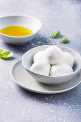 Italian cheese mozzarella