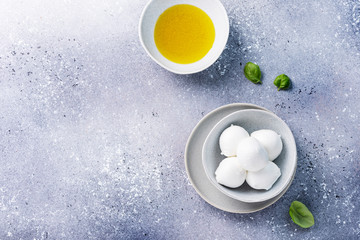 Italian cheese mozzarella