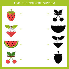 Find the correct shadow for berry. Simple educational game for kids