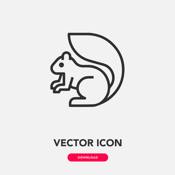 squirrel icon vector. squirrel animal icon vector symbol illustration. Modern simple vector icon for your design. squirrel icon vector	