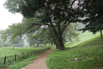 Obraz premium 공주산성입니다