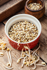 Sprout whole mung dal