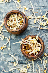 Sprout whole mung dal