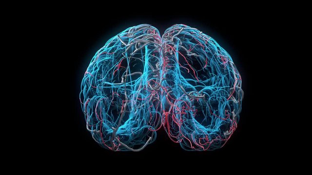 Close up X-ray Concept Brain Rotate on black background. 3D animation. 4K.