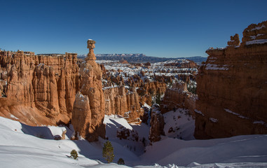 Paysage dans le parc national de Bryce Canyon, aux Etats-Unis