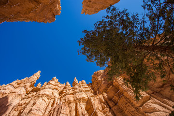 Paysage dans le parc national de Bryce Canyon, aux Etats-Unis