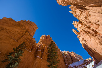 Paysage dans le parc national de Bryce Canyon, aux Etats-Unis