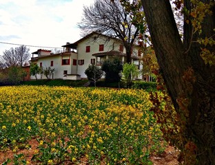 house with flowers near Barcelona