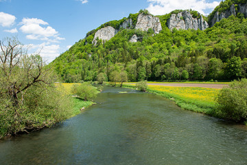 Donau in der Nähe von Beuron, Baden-Württemberg, Deutschland