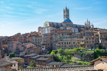 Naklejka na ściany i meble Beautiful panoramic view of the historic city of Siena at summer day with blue sky Tuscany, Italy