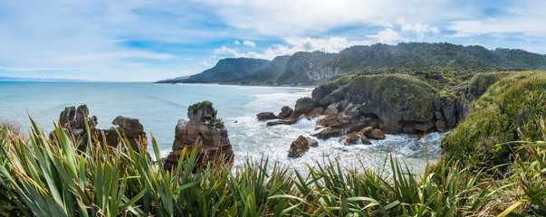 Panorama Rainforest coast beach at ocean New Zealand