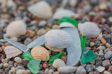 Pieces of glass and seashells