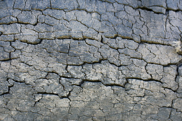 Black old tire rubber background texture with cracks