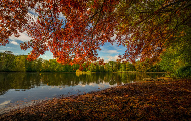 Idyllische Landschaft, herbstlich gefärbte Bäume am Ufer eines Sees