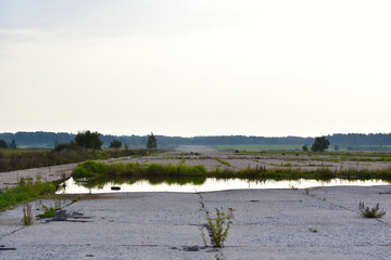 Old, abandoned, overgrown with grass airfield. Water puddle landscape