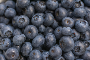Texture of blueberry berries close up. Fresh blueberry background.