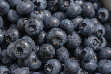 Texture of blueberry berries close up. Fresh blueberry background.