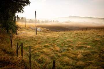 farmland on a foggy day next to Contignano (Radicofani), province of Siena, Tuscany, Italy