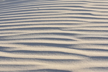 Obraz premium Beach sand dune wave texture