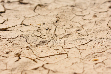Dry mud brown ground desert texture