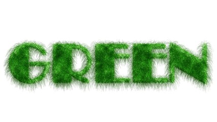 Plakat Lettering Green - word in green letters made of grass - isolated on white background - 3D illustration