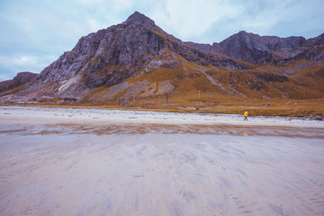 Beach at sunset. Rocky beach in the evening. Beach with white sand. Beautiful nature of Norway. Lofoten islands.