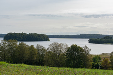 Landscape of lake and green islands and forest background.