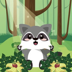 cute raccoon wild animal character icon