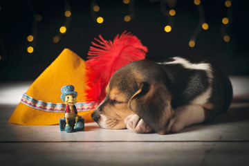 Pinocho