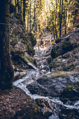 waterfall in forest