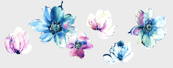 Flowers watercolor illustration.Manual composition.Big Set watercolor elements. - 325071028