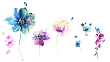 Flowers watercolor illustration.Manual composition.Big Set watercolor elements.