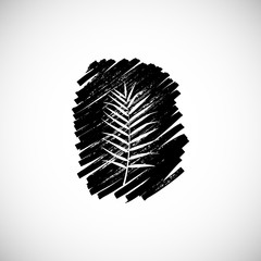 Tropical leaf on white background. Vector illustration.