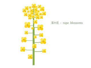 菜の花のシンプルイラスト