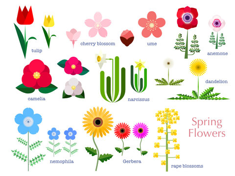 春の花のシンプルイラストセット