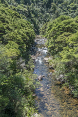 Fototapeta na wymiar clear waters of little creek, near Kopu, New Zealand