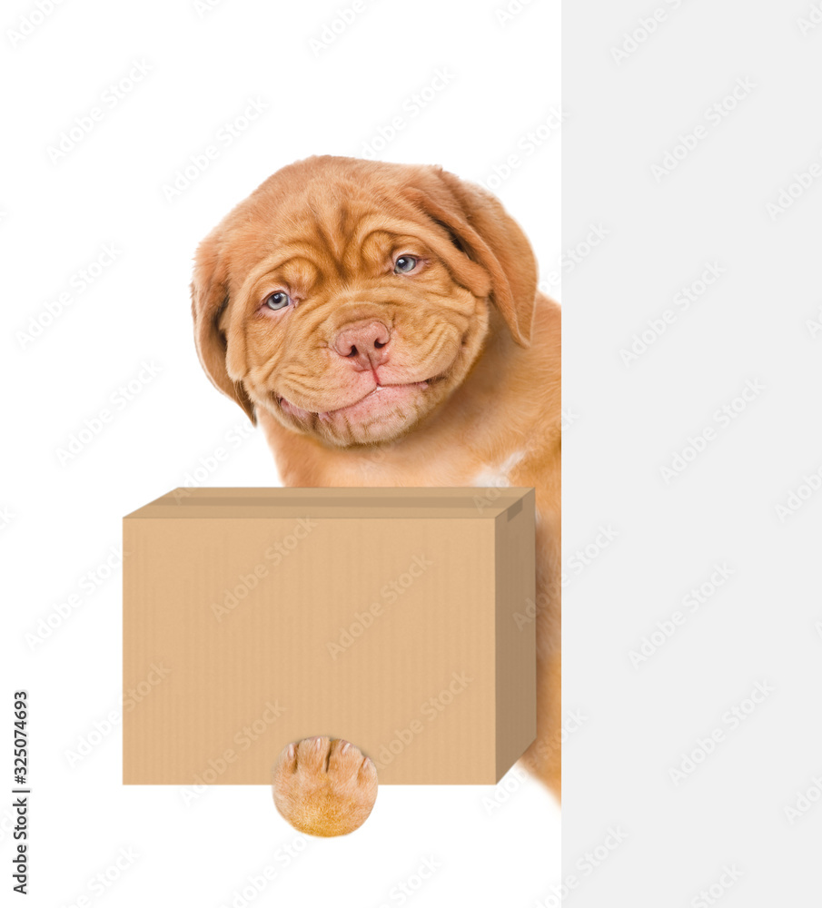 Poster Smiling puppy holds cardboard box in his paws above empty white banner. isolated on white background