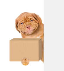 Smiling puppy holds cardboard box in his paws above empty white banner. isolated on white background