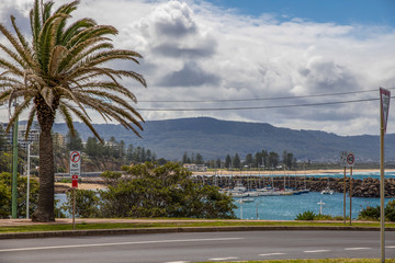 Obraz premium beach with palm trees