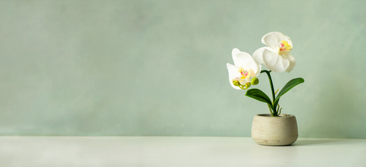 Wooden desk table top with flower on white wall, with copy space - Powered by Adobe