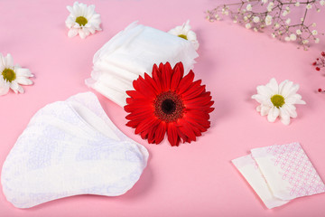 Fototapeta na wymiar Lot of menstrual pads with red gerbera and white camomile on pink girlish background, top view, copy space. Ovulation concept. menstruation concept.