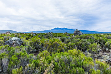 View from the Lemosho trail, the most scenic trail on mount Kilimanjaro, Tanzania