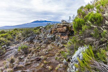 View from the Lemosho trail, the most scenic trail on mount Kilimanjaro, Tanzania