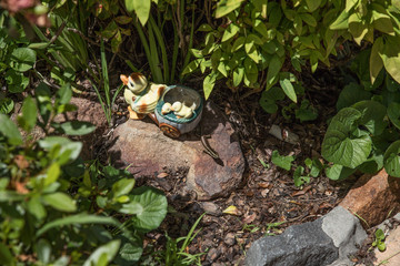 lizard in the garden