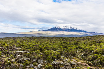 View from the Lemosho trail, the most scenic trail on mount Kilimanjaro, Tanzania