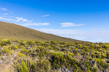 View from the Lemosho trail, the most scenic trail on mount Kilimanjaro, Tanzania