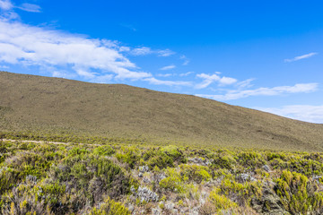 View from the Lemosho trail, the most scenic trail on mount Kilimanjaro, Tanzania