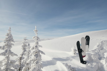 Beautiful view of snowboards standing in snow powder in winter snow-cowered forest and hills,...
