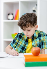 Smart young boy sits at desk and writes to notebook at home